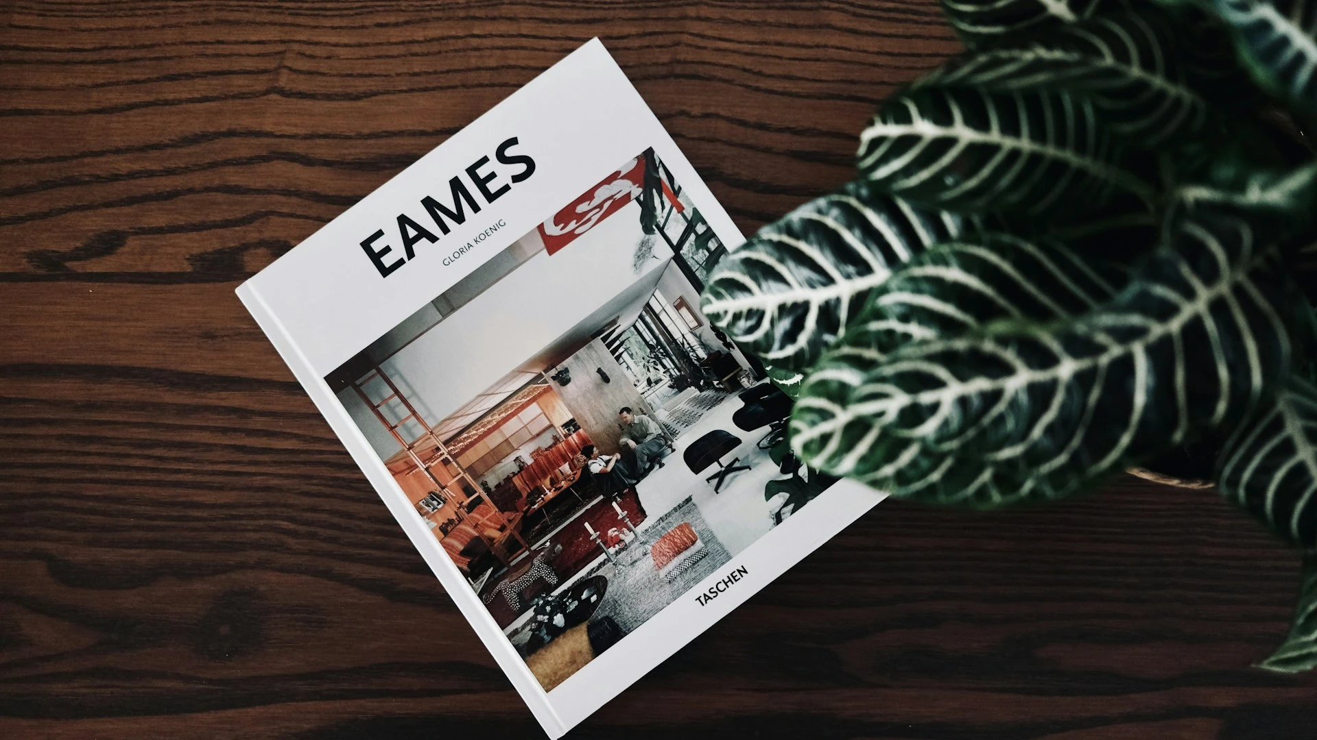 إعادة هيكلة Limited Run Games: هل نودع عصر التأخيرات الطويلة في نسخ الألعاب الفيزيائية؟